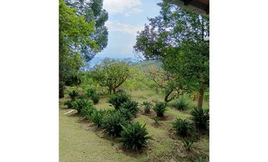 Venta finca en Fredonia suroeste antioqueño