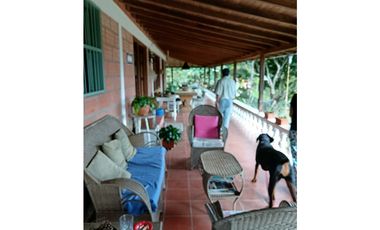 Venta finca en Fredonia suroeste antioqueño