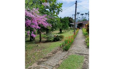 Venta finca en Fredonia suroeste antioqueño