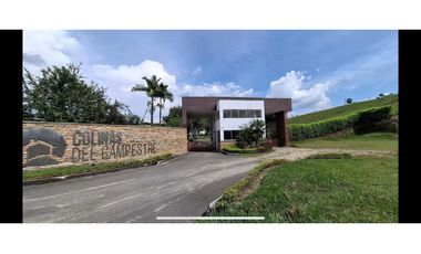 SE VENDE  O PERMUTA LOTE VIA CARTAGO CALI AREA 1350 EN PARCELACION