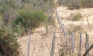 VENTA DE GRAN TERRENO DE 8,5 HA EN TANTEHUE MELIPILLA