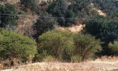 VENTA DE GRAN TERRENO DE 8,5 HA EN TANTEHUE MELIPILLA