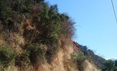 VENTA DE GRAN TERRENO DE 8,5 HA EN TANTEHUE MELIPILLA