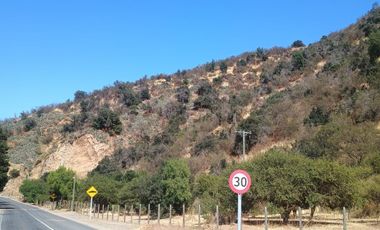 VENTA DE GRAN TERRENO DE 8,5 HA EN TANTEHUE MELIPILLA