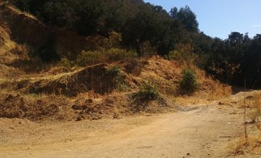 VENTA DE GRAN TERRENO DE 8,5 HA EN TANTEHUE MELIPILLA