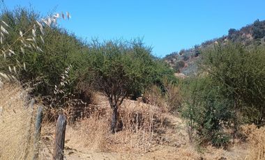 VENTA DE GRAN TERRENO DE 8,5 HA EN TANTEHUE MELIPILLA