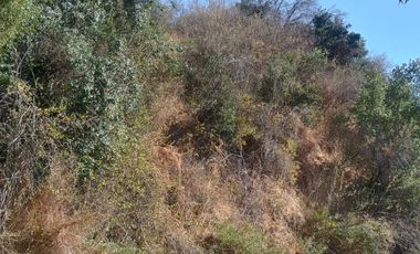 VENTA DE GRAN TERRENO DE 8,5 HA EN TANTEHUE MELIPILLA