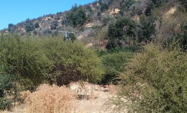 VENTA DE GRAN TERRENO DE 8,5 HA EN TANTEHUE MELIPILLA
