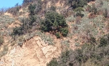 VENTA DE GRAN TERRENO DE 8,5 HA EN TANTEHUE MELIPILLA