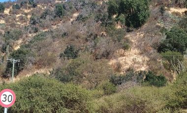 VENTA DE GRAN TERRENO DE 8,5 HA EN TANTEHUE MELIPILLA