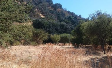VENTA DE GRAN TERRENO DE 8,5 HA EN TANTEHUE MELIPILLA