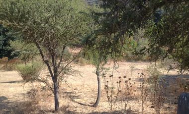 VENTA DE GRAN TERRENO DE 8,5 HA EN TANTEHUE MELIPILLA