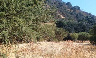 VENTA DE GRAN TERRENO DE 8,5 HA EN TANTEHUE MELIPILLA