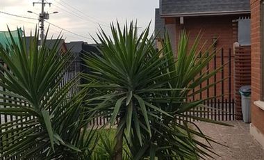 Casa en Arriendo en VALLE LO CASTILLO