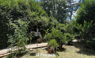 VENTA Lote con Galpón, Quincho, Arbolado y Parquizado - La Reja Sur