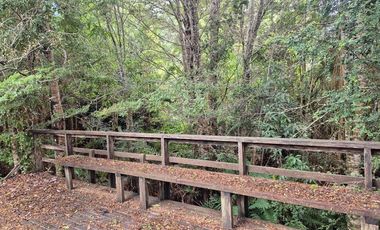 TERRENO 30 HA CON REFUGIO LAGO TARAHUIN CHONCHI