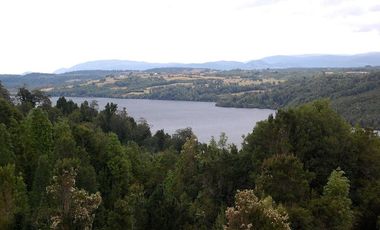 TERRENO 30 HA CON REFUGIO LAGO TARAHUIN CHONCHI