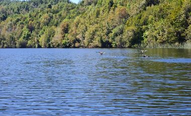 TERRENO 30 HA CON REFUGIO LAGO TARAHUIN CHONCHI