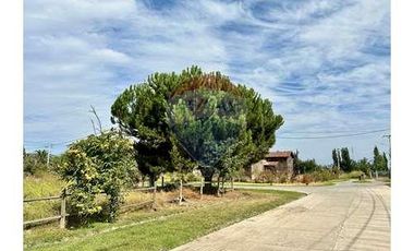 VENTA de Parcelas urbanizadas en OLIVAR.
