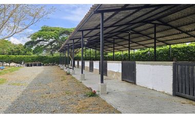 Lote en Venta Rozo-sector la Torre Valle del Cauca