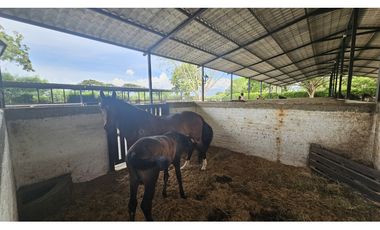 Lote en Venta Rozo-sector la Torre Valle del Cauca