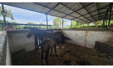 Lote en Venta Rozo-sector la Torre Valle del Cauca