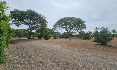 Venta de Lote en Rozo sector Matapalo Valle del Cauca