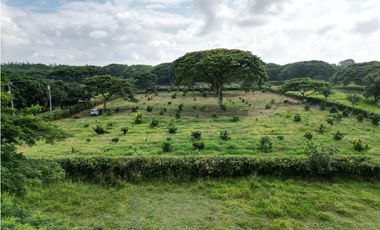 Venta de Lote en Rozo sector Matapalo Valle del Cauca