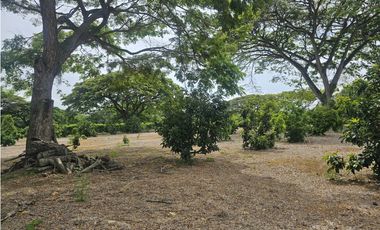 Venta de Lote en Rozo sector Matapalo Valle del Cauca