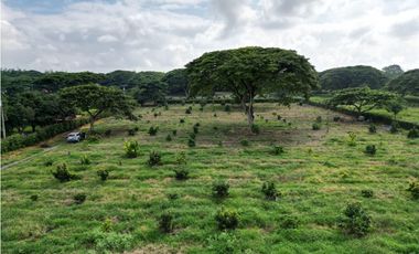 Venta de Lote en Rozo sector Matapalo Valle del Cauca