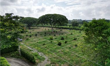 Venta de Lote en Rozo sector Matapalo Valle del Cauca