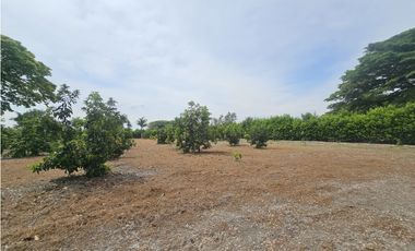 Venta de Lote en Rozo sector Matapalo Valle del Cauca