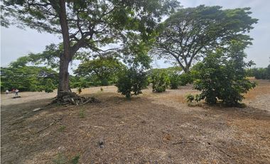 Venta de Lote en Rozo sector Matapalo Valle del Cauca