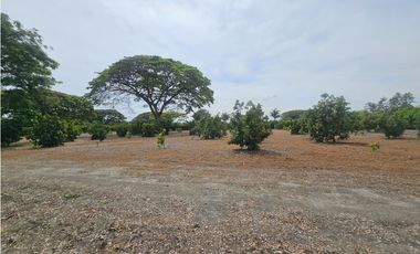 Venta de Lote en Rozo sector Matapalo Valle del Cauca