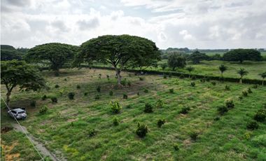 Venta de Lote en Rozo sector Matapalo Valle del Cauca