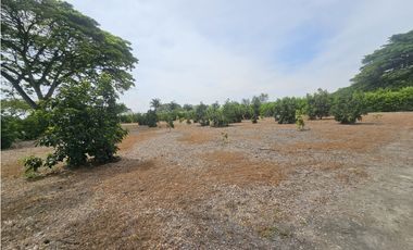 Venta de Lote en Rozo sector Matapalo Valle del Cauca