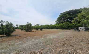 Venta de Lote en Rozo sector Matapalo Valle del Cauca