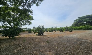 Venta de Lote en Rozo sector Matapalo Valle del Cauca