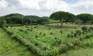 Venta de Lote en Rozo sector Matapalo Valle del Cauca