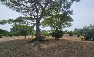 Venta de Lote en Rozo sector Matapalo Valle del Cauca