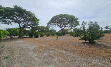 Venta de Lote en Rozo sector Matapalo Valle del Cauca