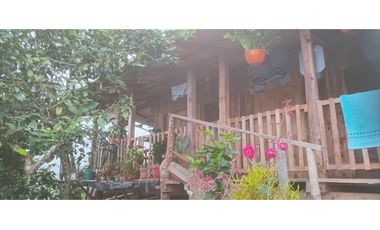 FINCA PRODUCTIVA EN VENTA LA QUISQUINA, PALMIRA VALLE DEL CAUCA