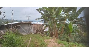 FINCA PRODUCTIVA EN VENTA LA QUISQUINA, PALMIRA VALLE DEL CAUCA
