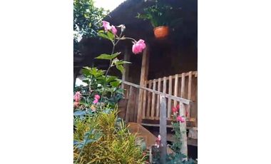 FINCA PRODUCTIVA EN VENTA LA QUISQUINA, PALMIRA VALLE DEL CAUCA