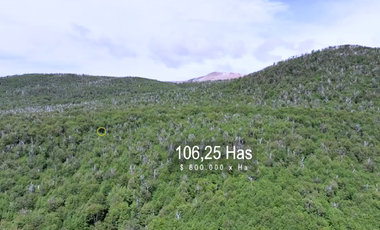 INVIERTE EN 106 HA DE BELLEZA PURA EN LA PATAGONIA