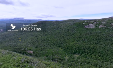 INVIERTE EN 106 HA DE BELLEZA PURA EN LA PATAGONIA