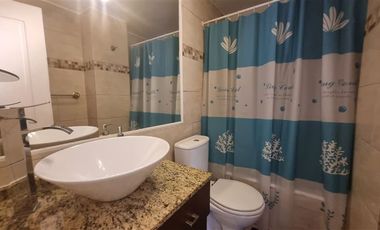 Departamento en Arriendo en Metro Los Leones*LOFT Amoblado*