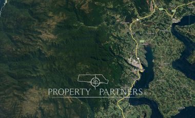 Gran predio forestal de 640 hectáreas a solo 15 km de Castro, Chiloé