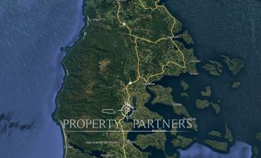 Gran predio forestal de 640 hectáreas a solo 15 km de Castro, Chiloé