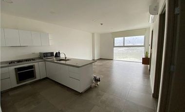 DEPARTAMENTO EN RENTA EN TULE VALLE PONIENTE